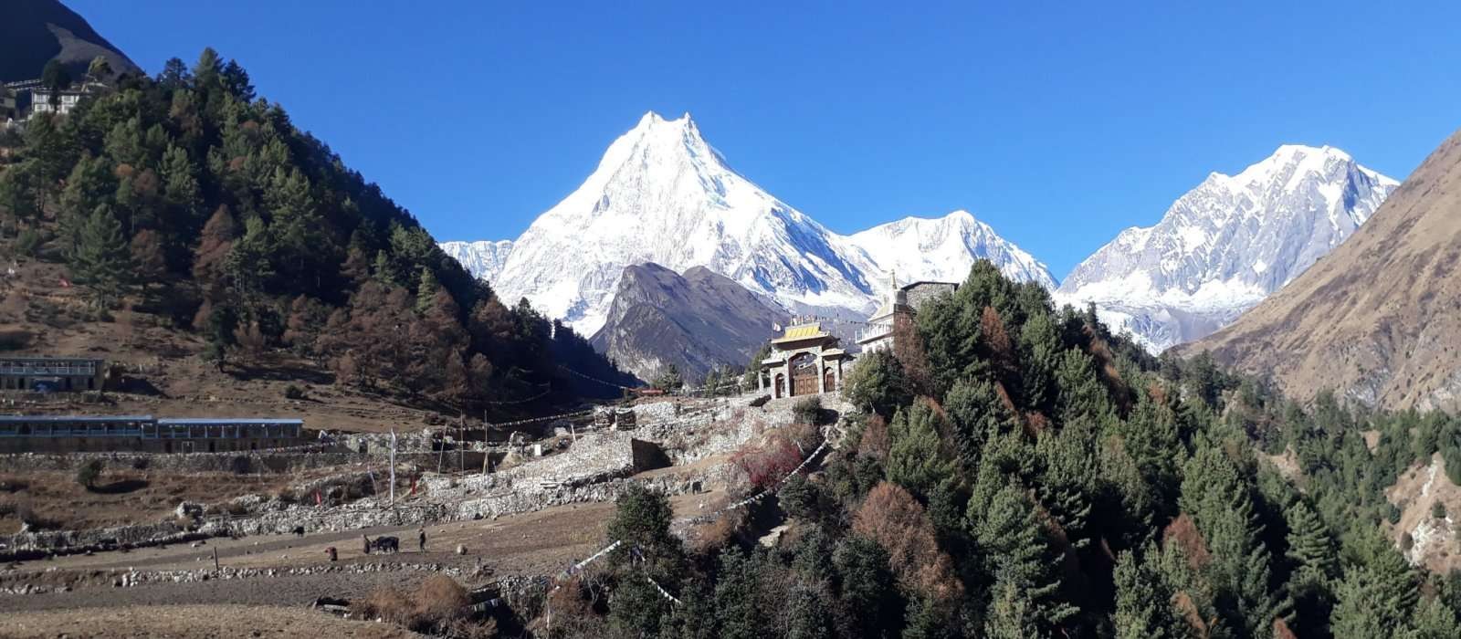 Manaslu Circuit Trek